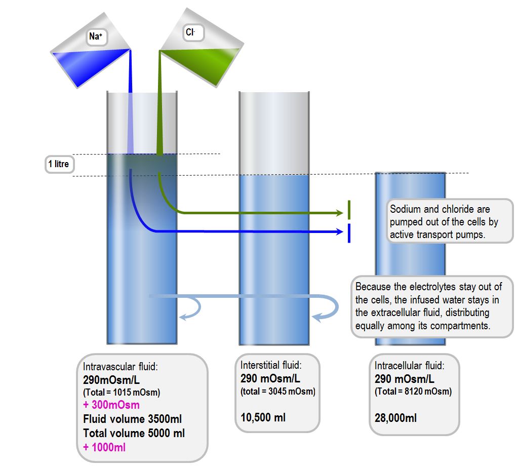 Response to 1L of normal saline Deranged Physiology